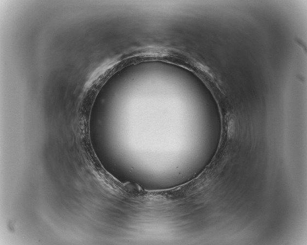 X0000102501448200808151509