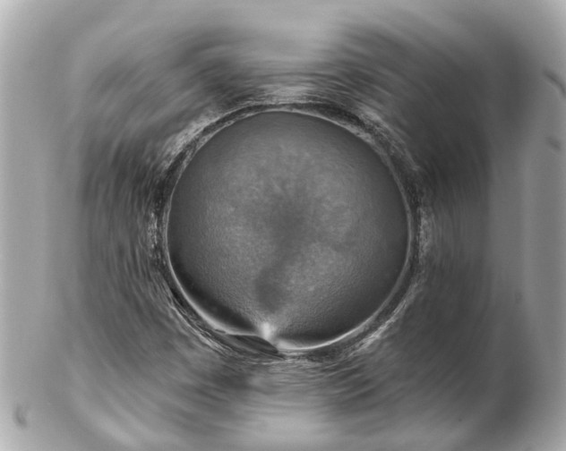 X0000102501449200808151509