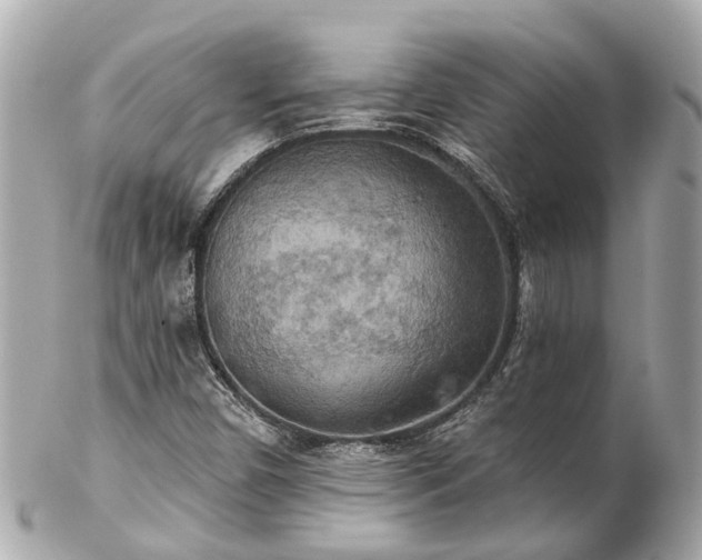 X0000102501450200808151509