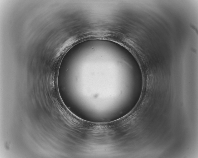 X0000102501451200808151509