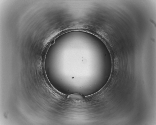 X0000102501452200808151509