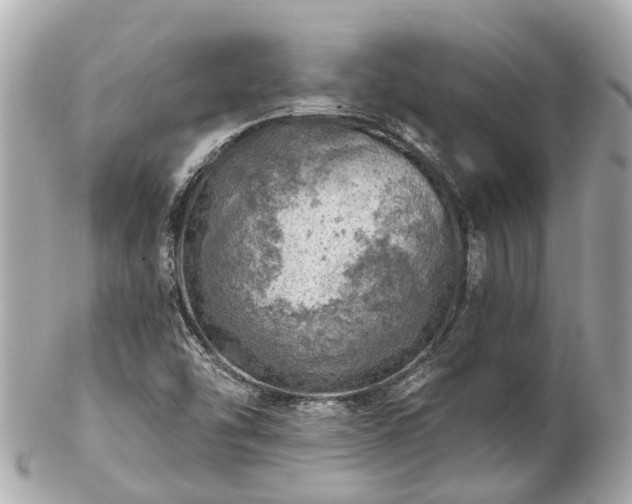 X0000102501454200808151509