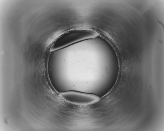 X0000102501456200808151509