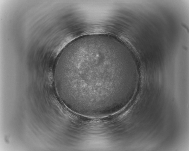 X0000102501457200808151509