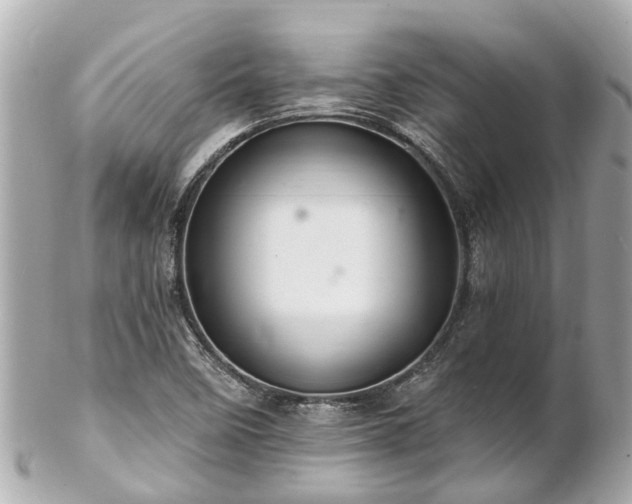 X0000102501458200808151509