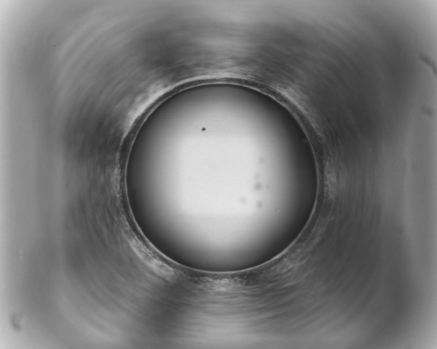 X0000102501460200808151509