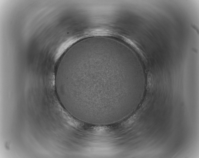 X0000102501461200808151509