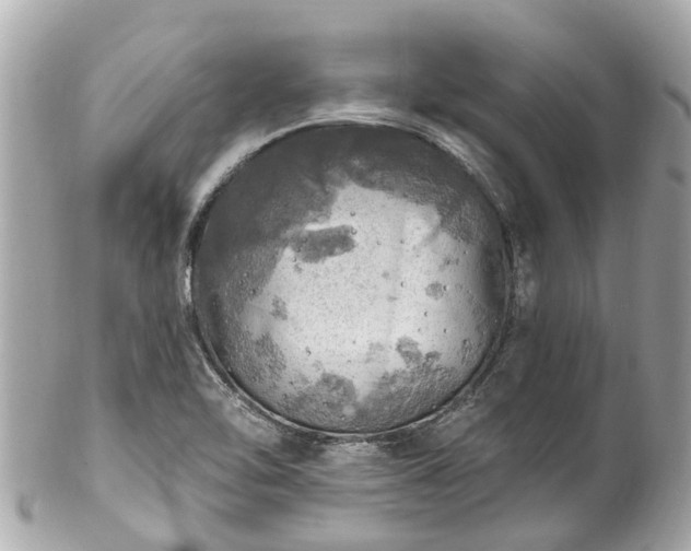 X0000102501462200808151509