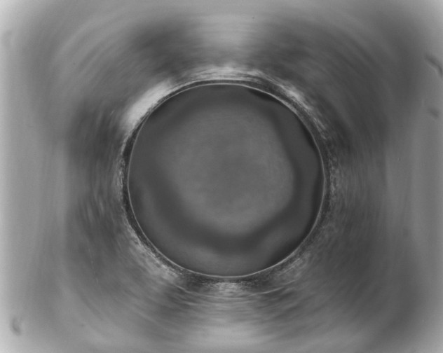 X0000102501463200808151509