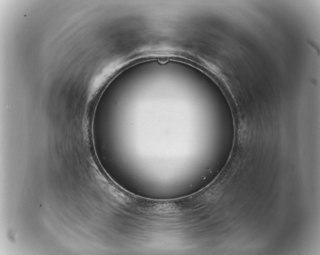 X0000102501464200808151509