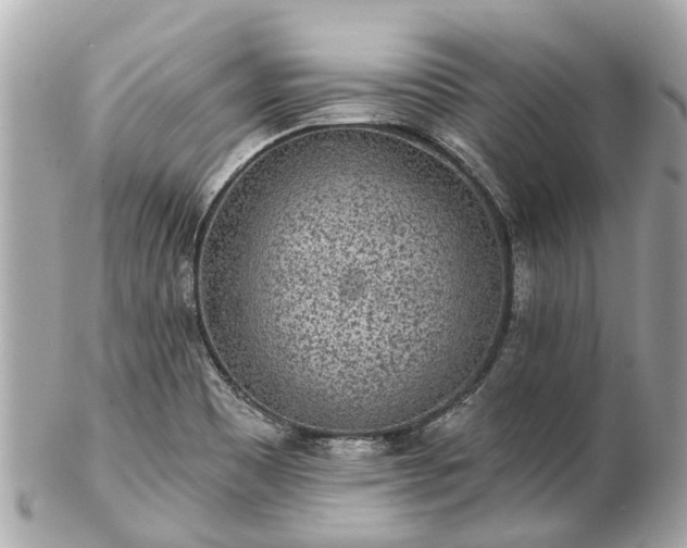 X0000102501465200808151509