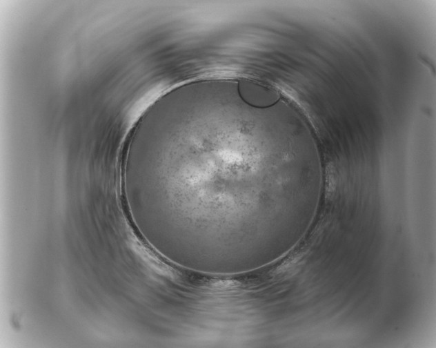 X0000102501467200808151508