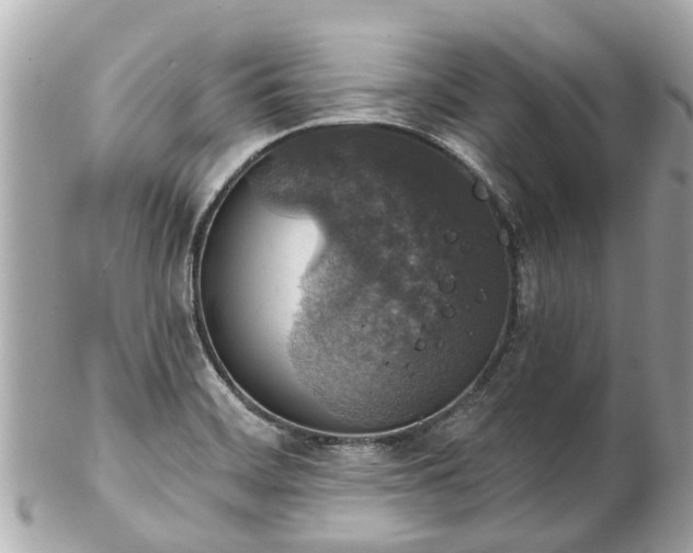 X0000102501468200808151508