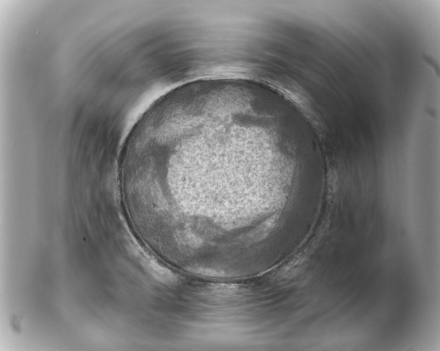 X0000102501470200808151508