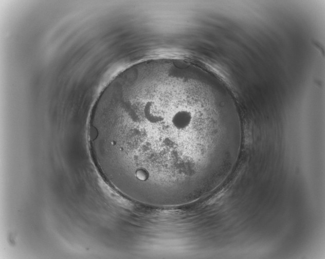 X0000102501471200808151508