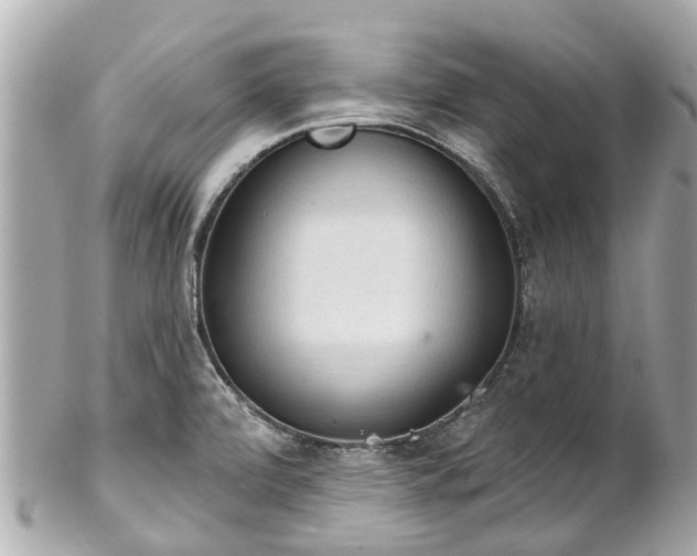 X0000102501472200808151508