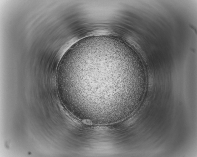 X0000102501473200808151508