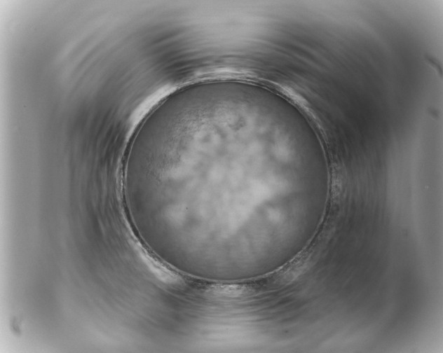 X0000102501474200808151508