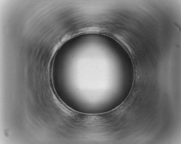 X0000102501475200808151508