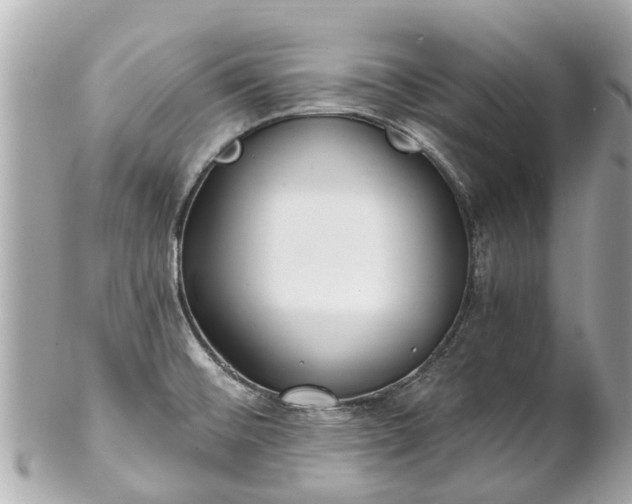 X0000102501476200808151508