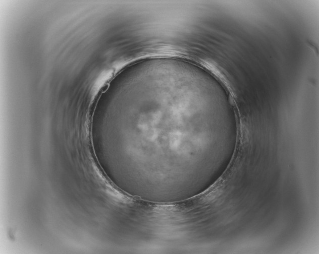 X0000102501477200808151508