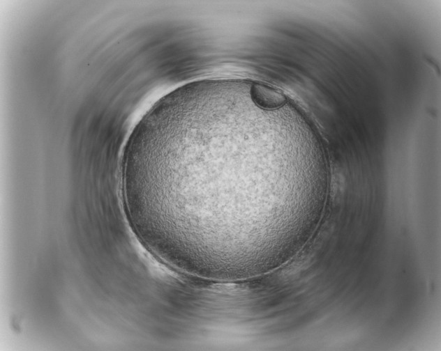 X0000102501478200808151508