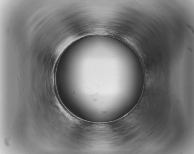 X0000102501479200808151508