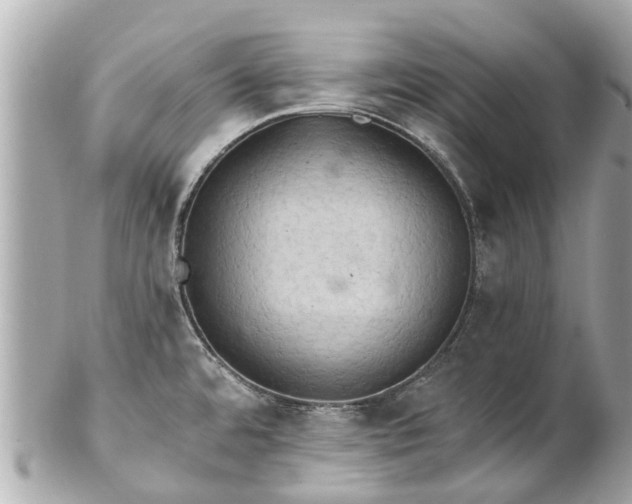 X0000102501480200808151508