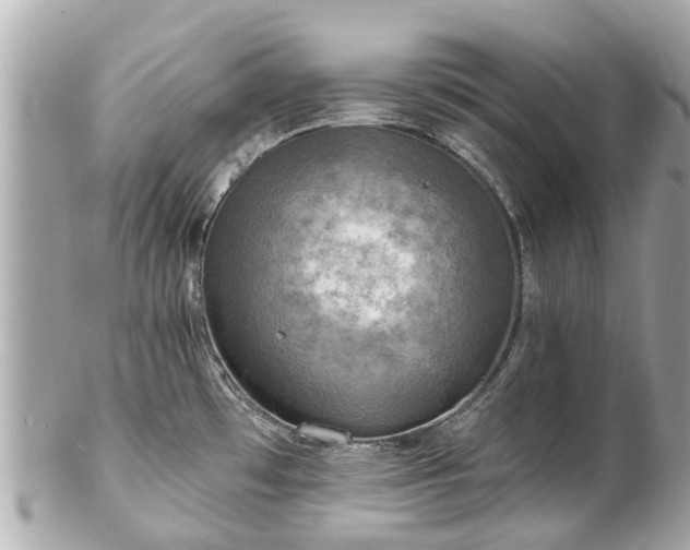 X0000102501481200808151508