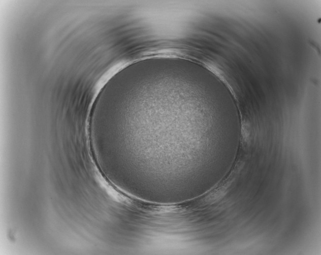 X0000102501482200808151508