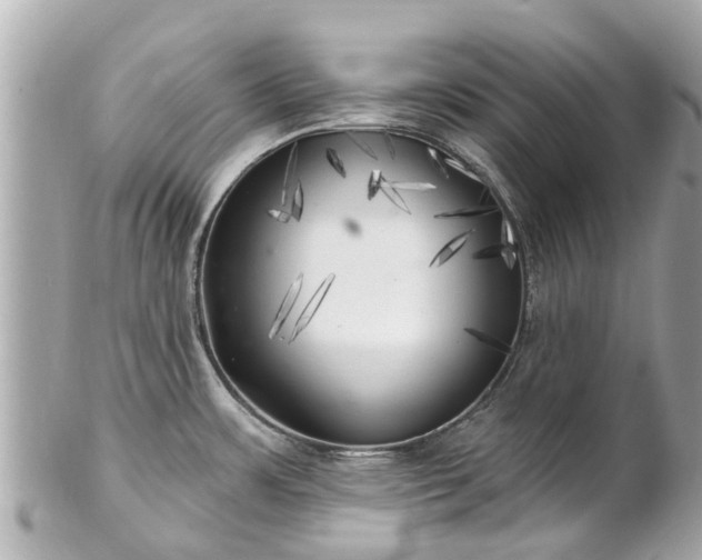X0000102501483200808151508