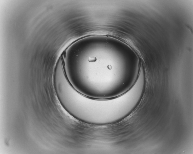 X0000102501484200808151508