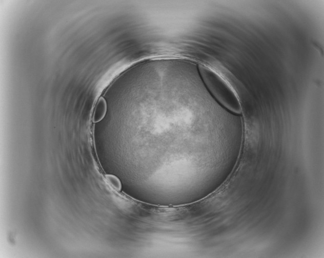 X0000102501485200808151508