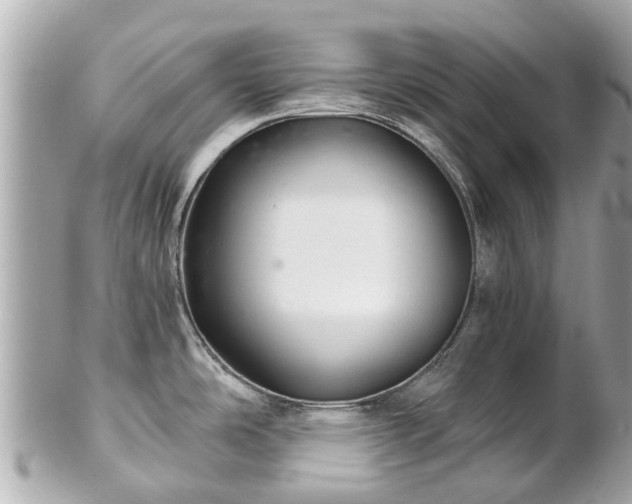 X0000102501486200808151508