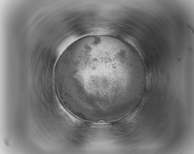 X0000102501487200808151508