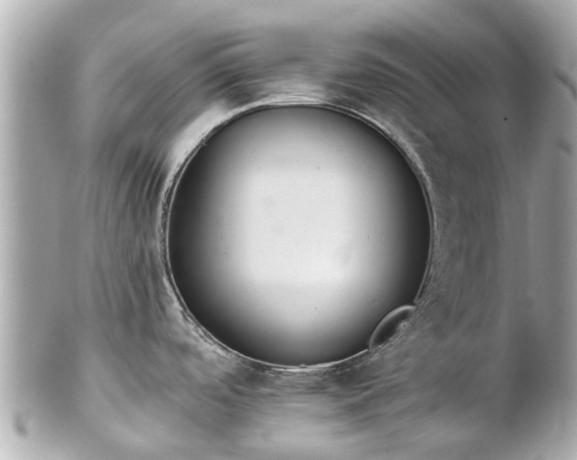 X0000102501488200808151508