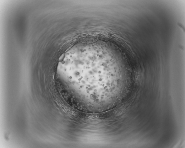 X0000102501489200808151507