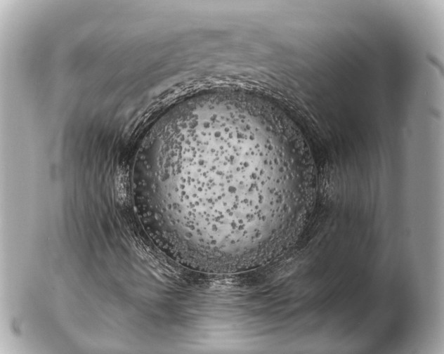 X0000102501490200808151507