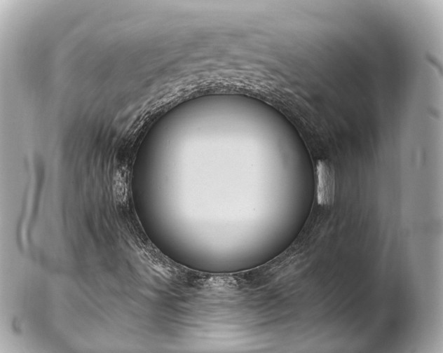 X0000102501491200808151507