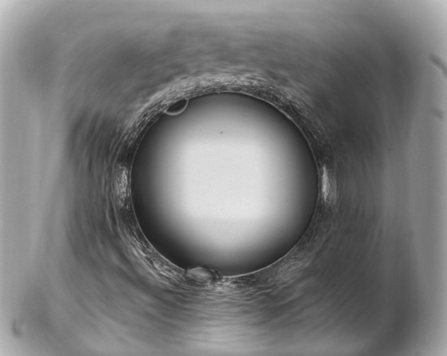 X0000102501492200808151507