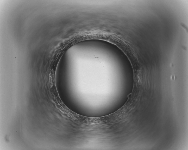 X0000102501493200808151508