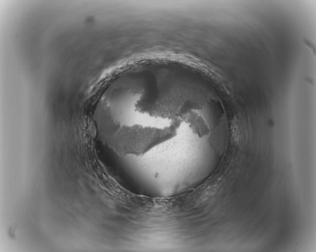 X0000102501494200808151508