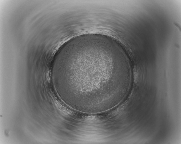 X0000102501497200808151508