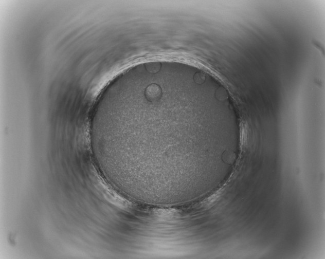 X0000102501498200808151508