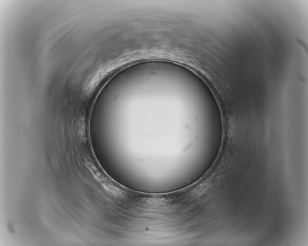 X0000102501499200808151508