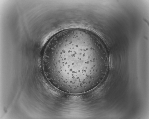 X0000102501501200808151508