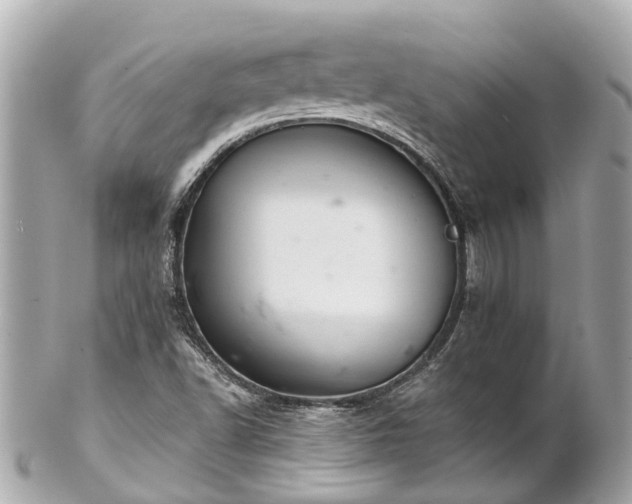 X0000102501502200808151508