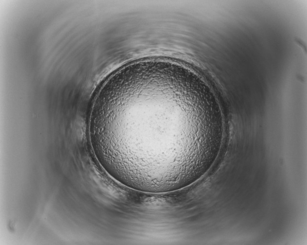 X0000102501505200808151508