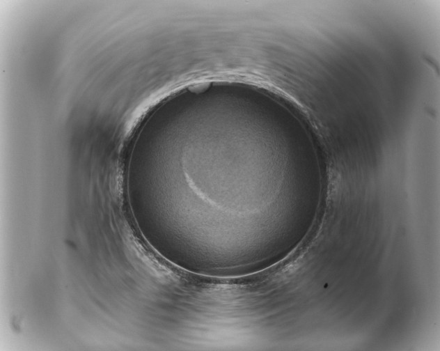 X0000102501506200808151508