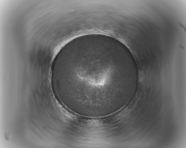 X0000102501508200808151508